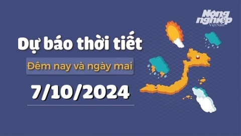 Dự báo thời tiết ngày mai 7/10/2024 mới nhất