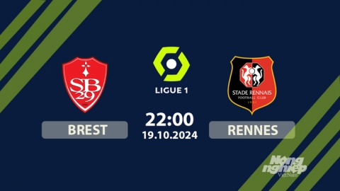 Nhận định bóng đá Brest vs Rennes, Ligue 1, 22h00 hôm nay 19/10/2024