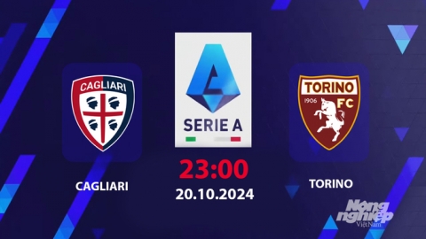 Nhận định, trực tiếp Cagliari vs Torino, Serie A, 23h hôm nay 20/10/2024