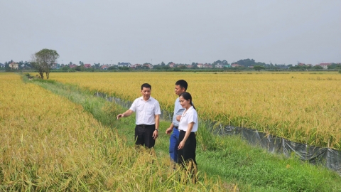 108 người quy tụ 3.000ha đất sản xuất nông nghiệp