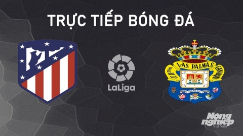 Nhận định, trực tiếp Atletico Madrid vs Las Palmas giải La Liga hôm nay 3/11/2024