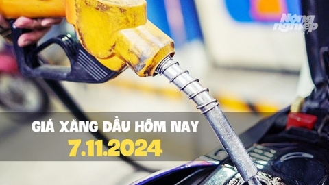 Giá xăng trong nước bật tăng trở lại