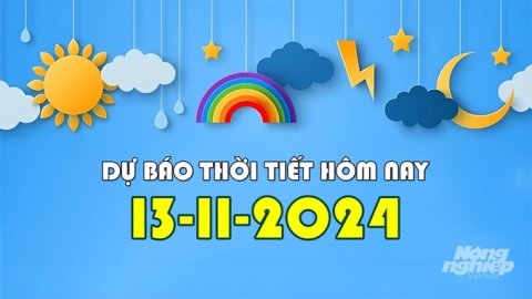 Thời tiết hôm nay 13/11/2024: Tin bão số 8 trên biển Đông mới nhất