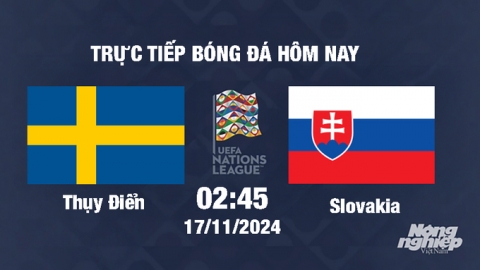 Trực tiếp Thụy Điển vs Slovakia, UEFA Nations League 2024/25, 2h45 ngày 17/11/2024