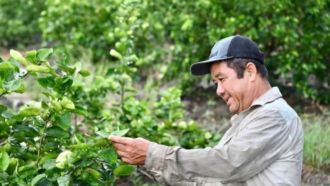 Long An: Hiệu quả vốn tín dụng chính sách trong xây dựng nông thôn mới