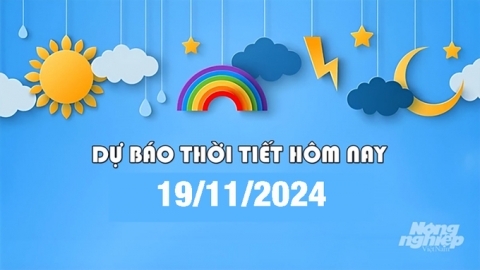 Tin thời tiết hôm nay 19/11/2024 mới nhất trong cả nước