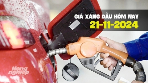 Giá xăng dầu trong nước điều chỉnh giảm nhẹ