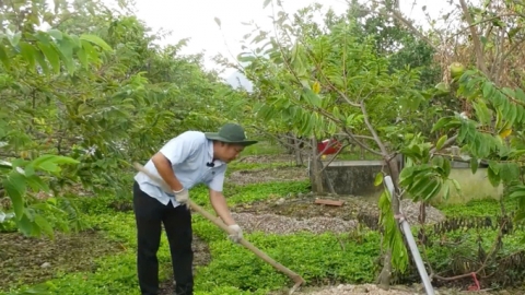 Nguyên tắc '4 đúng' vực dậy vùng na bở Liên Khê