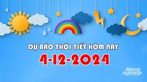 Tin thời tiết hôm nay 4/12/2024 mới nhất trong cả nước