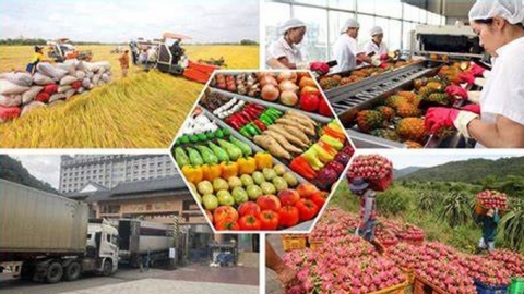 Vietnamese agricultural products have great opportunities in the UK