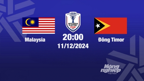 Trực tiếp bóng đá Malaysia vs Đông Timor, Asean Cup 2024, 20h00 hôm nay 11/12/2024