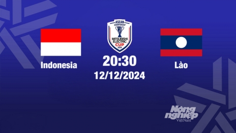 Trực tiếp bóng đá Indonesia vs Lào, Asean Cup 2024, 20h00 hôm nay 12/12/2024