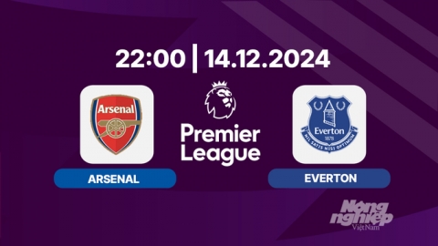 Nhận định, trực tiếp Arsenal vs Everton, Ngoại hạng Anh, 22h00 hôm nay 14/12/2024