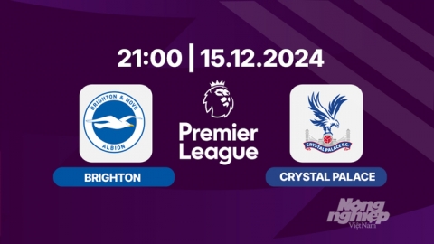 Nhận định, trực tiếp Brighton vs Crystal Palace, Ngoại hạng Anh, 21h00 hôm nay 15/12/2024