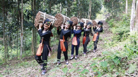 Hàng nghìn hộ dân hưởng lợi khi chuyển dịch sản xuất theo hướng xanh