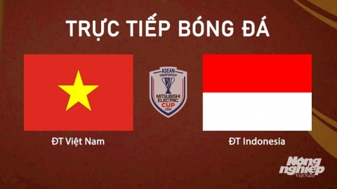 Trực tiếp ĐT Việt Nam vs ĐT Indonesia giải AFF Cup 2024 hôm nay 15/12