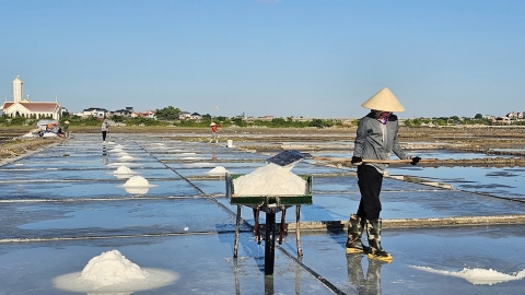 Festival nghề muối là dịp để trả ơn diêm dân