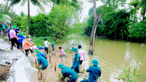 C.P. Việt Nam cùng tỉnh Đồng Tháp xây dựng công trình kè xanh giữ đất