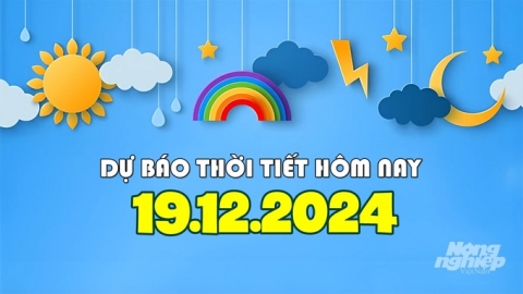 Tin thời tiết hôm nay 19/12/2024: Bắc Bộ ít mây, có nắng nhưng vẫn giá rét