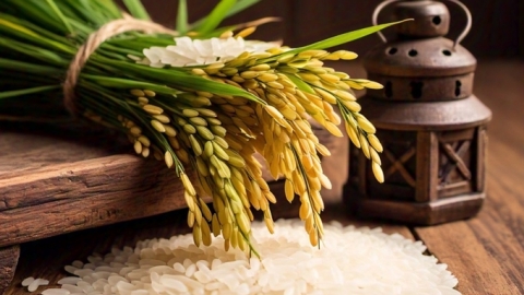 Rice prices on December 24, 2024: Rice sees a slight increase