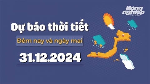 Dự báo thời tiết ngày mai 31/12/2024 mới nhất