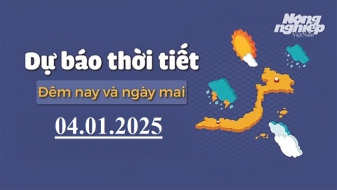 Dự báo thời tiết ngày mai 4/1/2025 mới nhất