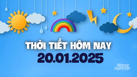 Dự báo thời tiết hôm nay 20/1/2025: Bắc Bộ Đêm và sáng trời rét