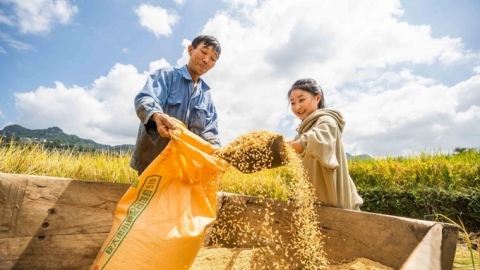 Sản lượng ngũ cốc Trung Quốc đạt mức kỉ lục năm 2024