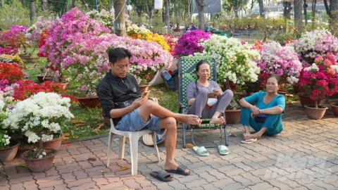 Chợ hoa Tết vắng người mua, tiểu thương lo lắng