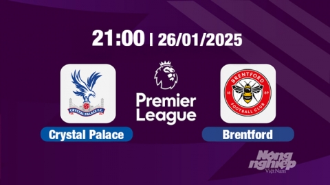 Trực tiếp bóng đá Crystal Palace vs Brentford, Ngoại hạng Anh, 21h00 hôm nay 26/1/2025