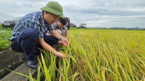 Ngành nông nghiệp Hải Phòng đặt mục tiêu lớn trong năm 2025