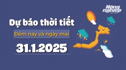 Dự báo thời tiết ngày mai 31/1/2025 mới nhất