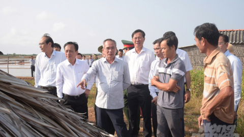 Bạc Liêu: Kiểm tra công tác chuẩn bị Festival Nghề muối Việt Nam