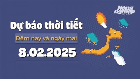 Dự báo thời tiết ngày mai 8/2/2025 mới nhất