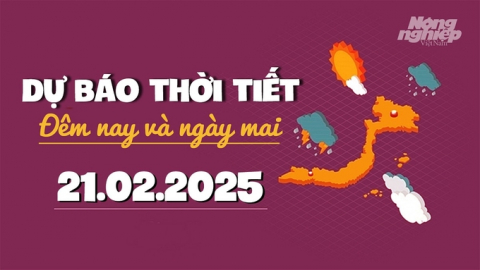 Dự báo thời tiết ngày mai 21/2/2025 mới nhất