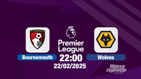 Trực tiếp bóng đá Bournemouth vs Wolves, Ngoại hạng Anh, 22h00 hôm nay 15/2/2025