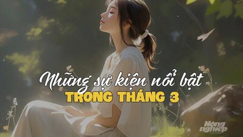 Những sự kiện nổi bật sẽ diễn ra trong tháng 3 mà bạn cần biết