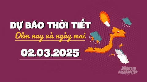 Dự báo thời tiết ngày mai 2/3/2025 mới nhất