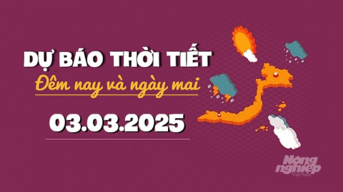 Dự báo thời tiết ngày mai 3/3/2025 mới nhất