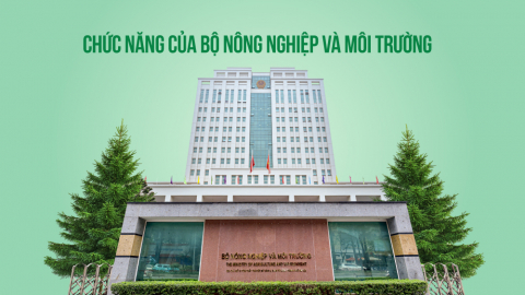 Các lĩnh vực quản lý và cơ cấu tổ chức của Bộ Nông nghiệp và Môi trường
