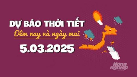 Dự báo thời tiết ngày mai 5/3/2025: Tin gió mùa Đông Bắc mới nhất