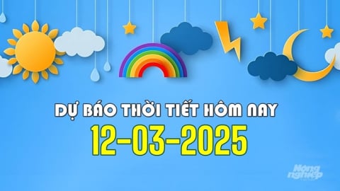 Tin thời tiết hôm nay 12/3/2025: Nhiều nơi có mưa và xuất hiện sương mù