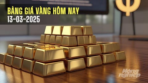 Bảng giá vàng 9999 24K 18K SJC DOJI PNJ hôm nay 13/3/2025