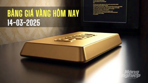 Giá vàng hôm nay 14/3/2025: Tăng sốc, sắp chạm mốc 3.000 USD/ounce