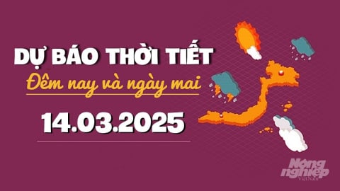 Dự báo thời tiết ngày mai 14/3/2025: Tin gió mùa đông bắc mới nhất