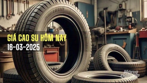 Giá cao su hôm nay 16/3/2025: Tuần này thế giới giảm mạnh