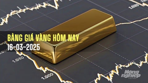 Giá vàng hôm nay 16/3/2025: Tuần này bật tăng nóng