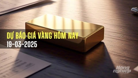 Giá vàng hôm nay 19/3/2025 dự báo tăng hay giảm?