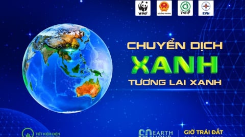 EVN và các đơn vị tích cực hưởng ứng Giờ Trái đất 2025