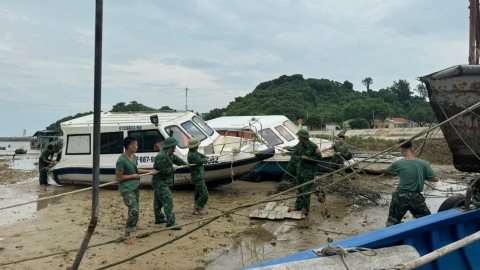 Đảo Trần 'căng mình' ứng phó bão số 3